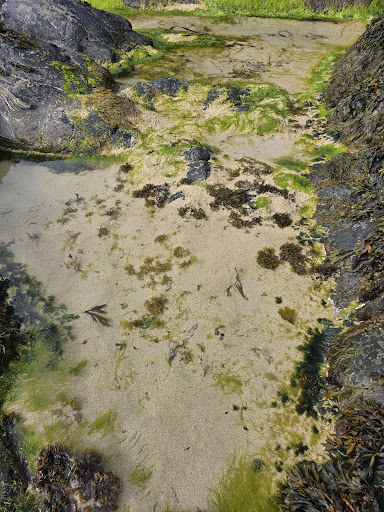 Eoropie Dunes Park 20250808 145012 009