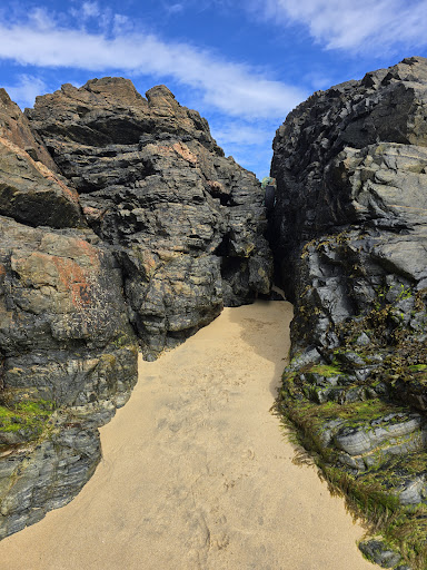 Eoropie Dunes Park 20250808 145015 013