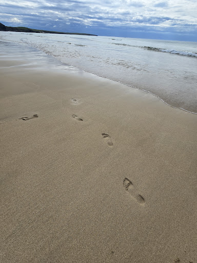 Eoropie Dunes Park 20250808 145019 017