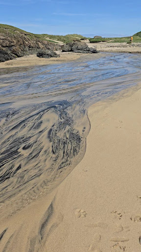 Eoropie Dunes Park 20250808 145020 019