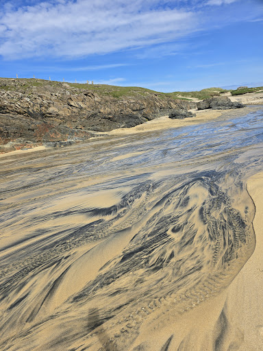 Eoropie Dunes Park 20250808 145021 020