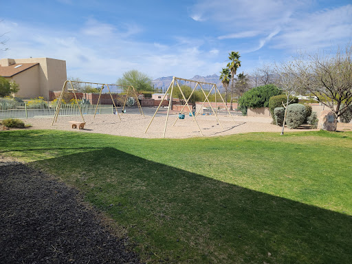 Erik Hite Family Park 20250726 190529 002