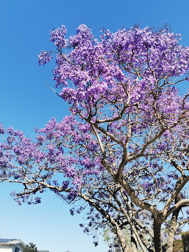 Eromanga Street Park 20250824 022323 014