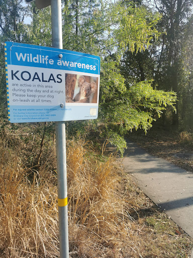 Eromanga Street Park 20250824 022324 015