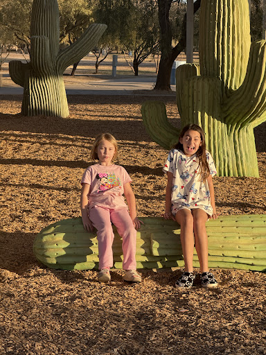 Estrella Mountain Regional Park Playground 20250726 200401 001