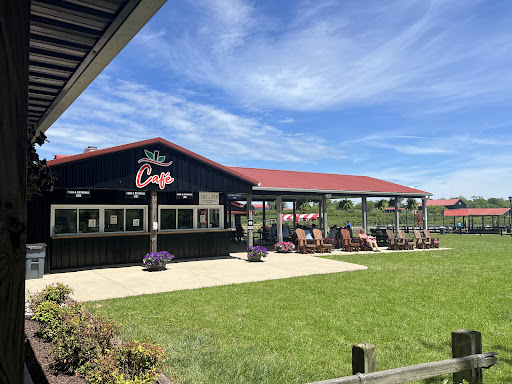 Evans Orchard and Cider Mill 20250727 001847 003