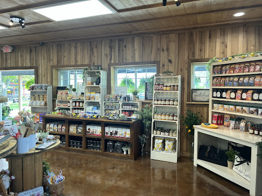 Evans Orchard and Cider Mill 20250727 001850 007