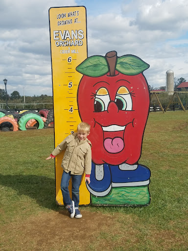 Evans Orchard and Cider Mill 20250727 001900 020