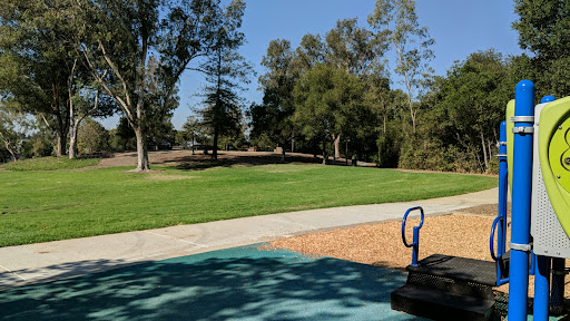 Evergreen Park Playground 20250727 105053 005