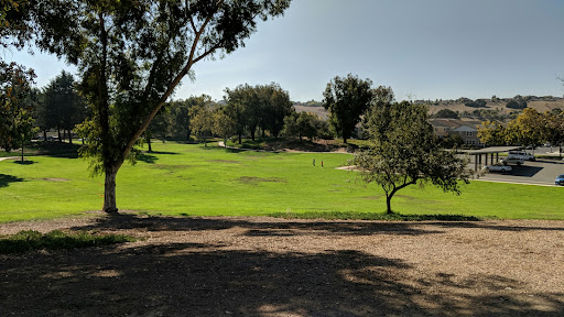 Evergreen Park Playground 20250727 105113 019