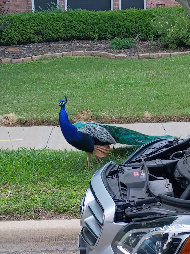 F J Red Kane Park 20250727 131218 001