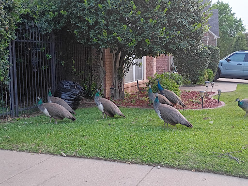 F J Red Kane Park 20250727 131220 003