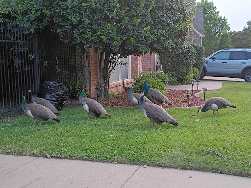 F J Red Kane Park 20250727 131221 004