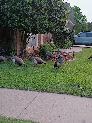 F J Red Kane Park 20250727 131222 005