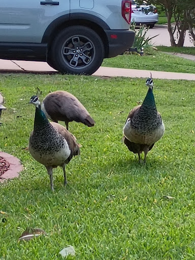 F J Red Kane Park 20250727 131223 006