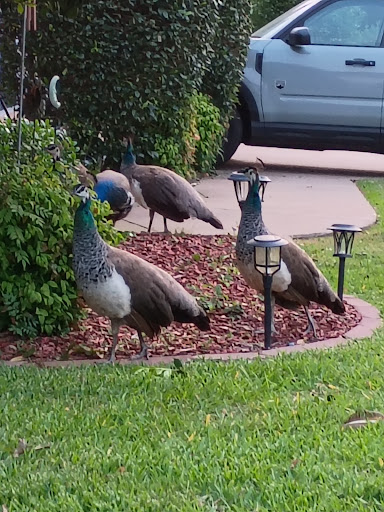 F J Red Kane Park 20250727 131224 007