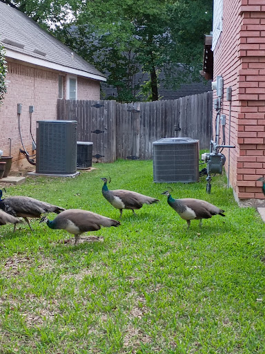 F J Red Kane Park 20250727 131226 009