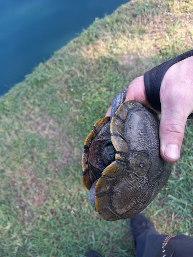 F J Red Kane Park 20250727 131235 018