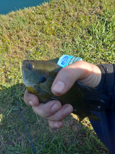 F J Red Kane Park 20250727 131236 019