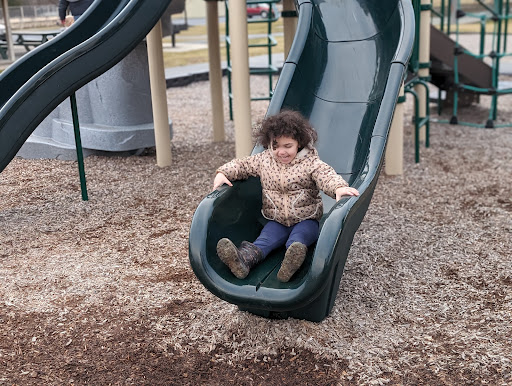 Fairlane Avenue Park Playground 20250727 032117 005