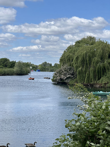 Fairlop Waters Country Park 20250808 184030 001