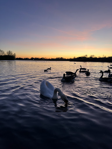 Fairlop Waters Country Park 20250808 184031 003