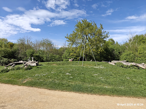 Fairlop Waters Country Park 20250808 184041 014