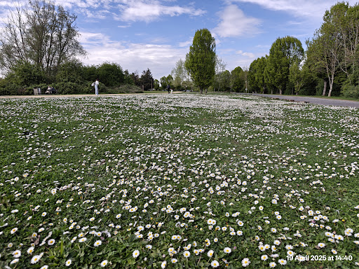 Fairlop Waters Country Park 20250808 184046 019