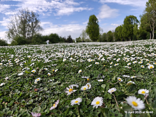 Fairlop Waters Country Park 20250808 184047 020