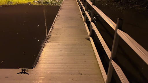 Fairview Riverside State Park 20250726 182848 011