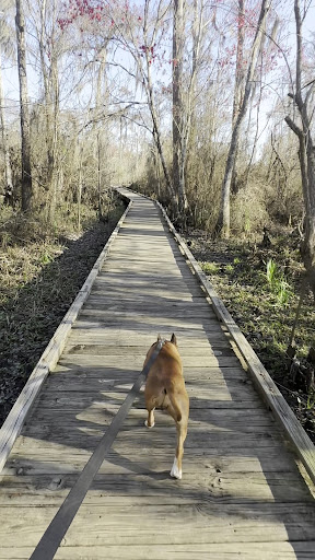 Fairview Riverside State Park 20250726 182851 015