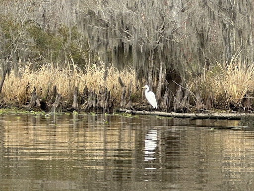 Fairview Riverside State Park 20250726 182855 020