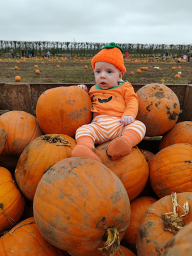 Felderland PYO Pick Your Own Farm 20250808 192345 001