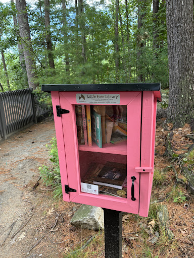 Field of Dreams Inc 20250727 065649 004