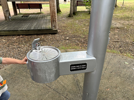 Field of Dreams Inc 20250727 065650 005