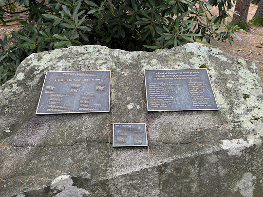 Field of Dreams Inc 20250727 065652 007