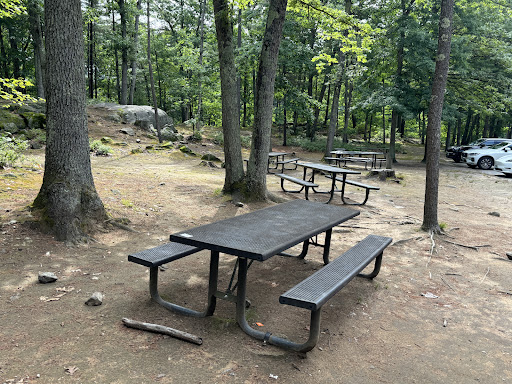 Field of Dreams Inc 20250727 065653 008