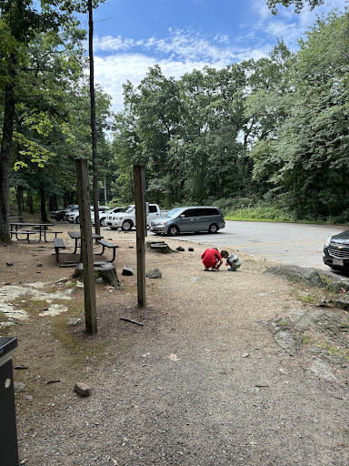 Field of Dreams Inc 20250727 065656 011