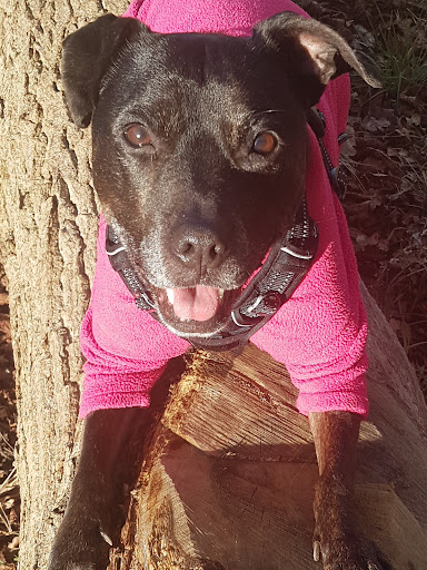 Finstock Recreation Ground 20250808 183232 002