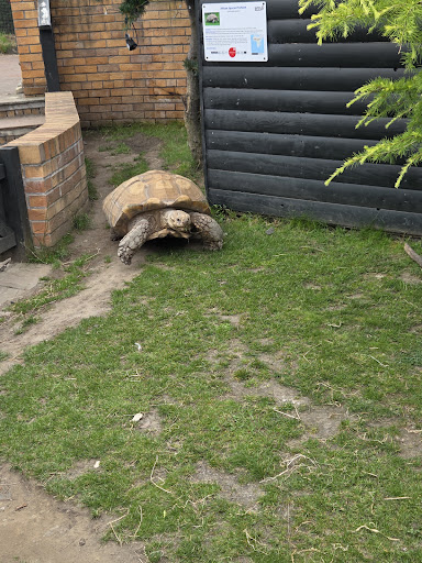 Five Sisters Zoo 20250808 151643 001