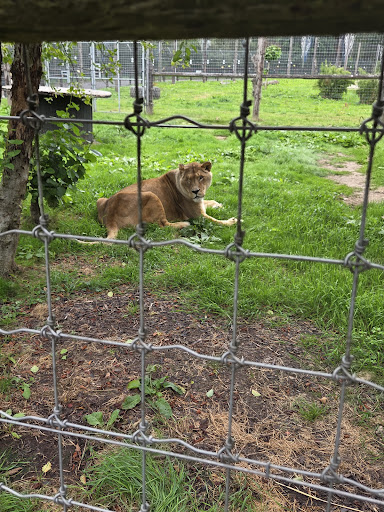 Five Sisters Zoo 20250808 151644 002
