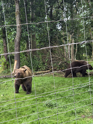 Five Sisters Zoo 20250808 151645 003