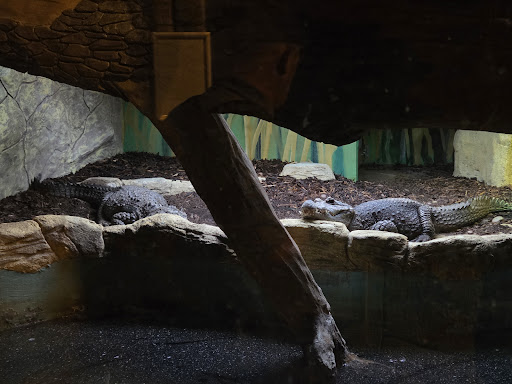 Five Sisters Zoo 20250808 151646 005