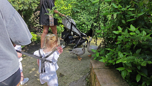 Five Sisters Zoo 20250808 151648 007