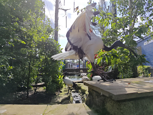 Five Sisters Zoo 20250808 151649 008