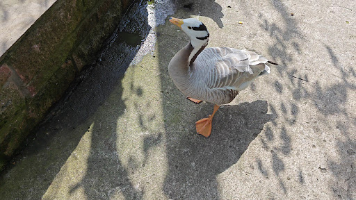 Five Sisters Zoo 20250808 151651 010