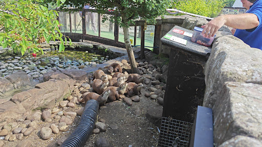 Five Sisters Zoo 20250808 151652 011