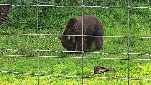 Five Sisters Zoo 20250808 151656 015