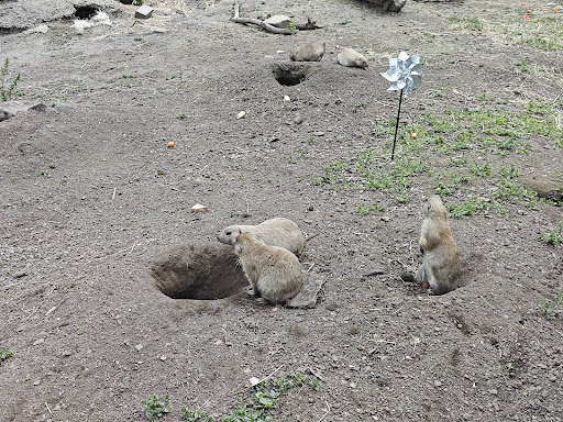 Five Sisters Zoo 20250808 151657 016