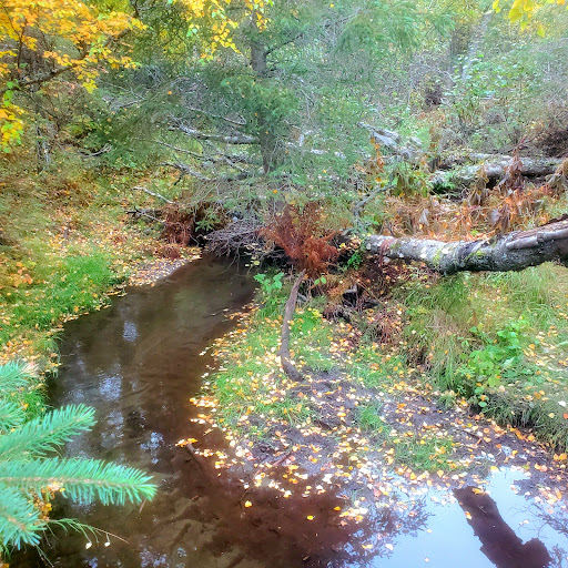 Forsythe Park 20250727 094731 004